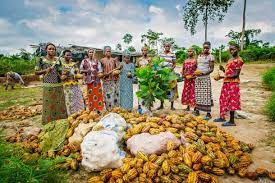 UN BELIEVE WEST AFRICAN FOOD ECONOMY WILL HIT $480BN BY 2030